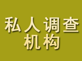 临川私人调查机构